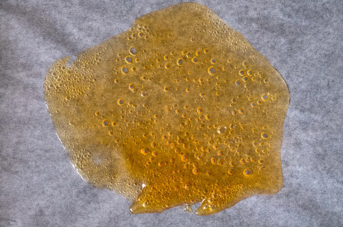 Cannabis shatter concentrate with visible bubbles on parchment paper.