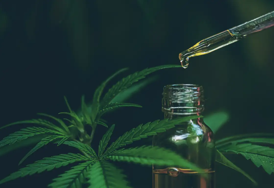 CBD oil being dripped from a pipette into a bottle against a backdrop of cannabis leaves.