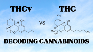thcv vs thc molecular structure with text decoding cannabinoids