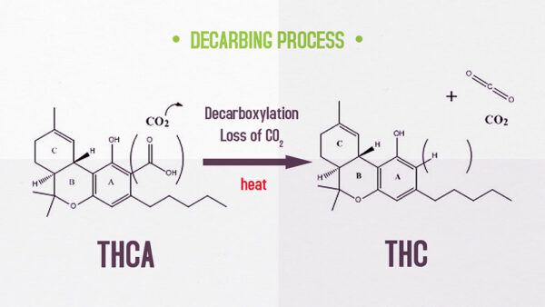 A diagram of the decarboxylation process where THCA converts to THC when heated
